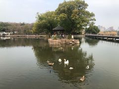 -月湖风景区
