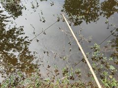 -佛手湖郊野公园