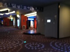 -万达影城(汉街万达广场IMAX店)