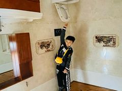 -金山农民画村-枫泾波兰倒置屋