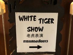 -清迈夜间动物园