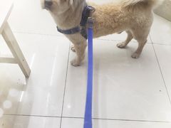 -爱侣宠医·鹦鹉专科·小型哺乳类·异宠专科(灵石路店)