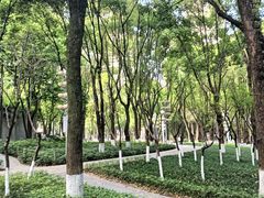 -重庆市江北嘴中央商务区中央公园