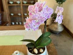 -墨宴(西洋湖店)