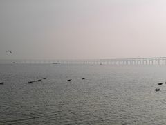 -星海广场
