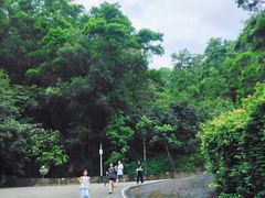 -广州白江湖森林公园