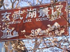 -鸡鸣寺