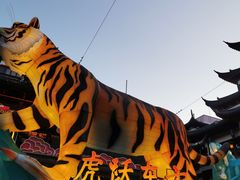 -老桐椿 · 上海大馄饨