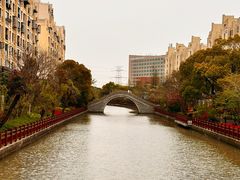 -高东镇樱花园