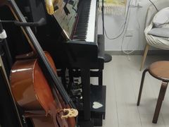 -缪斯琴行英皇小提琴.钢琴.吉他(张江店)