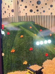 -米兜欢乐王国·儿童乐园(宝安益田假日天地店)