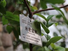 -北京植物园-展览温室