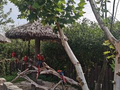 -上海野生动物园