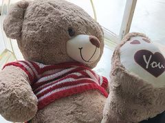 -成都泰迪熊博物馆