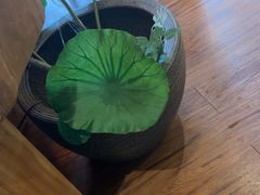 -康健民中泰式·古法按摩连锁品牌(华润万家店)