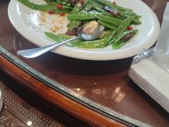 -丽苑大酒店