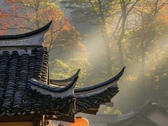 -塔川景区