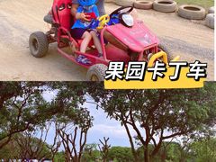 -长洲岛都市农业公园