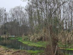 -桤木河湿地公园