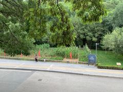 -延安杨家岭革命旧址