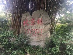 -邓小平故里