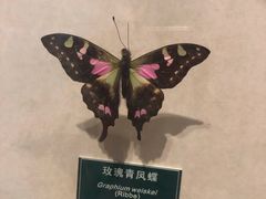 -陕西自然博物馆