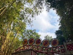 -广州长隆欢乐世界