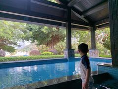 -英德宝晶宫天鹅湖茶语温泉