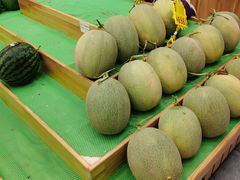 -杨果果(渝北店)