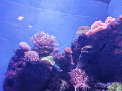 -石家庄极地海洋世界