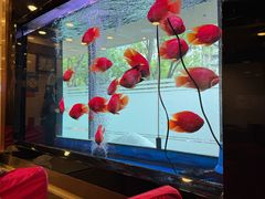 -东四民芳餐厅(朝阳门店)