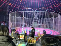 -五环公园