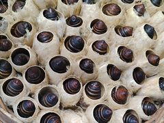 -王婆炒鱼(总店)