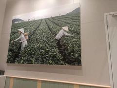 -奈雪的茶(优特汇店)