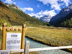 -稻城亚丁景区-冲古草甸