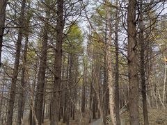 -白草畔自然风景区