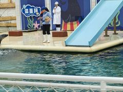 -秦皇岛乐岛海洋王国