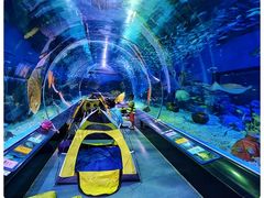 -海合安武汉极地海洋公园