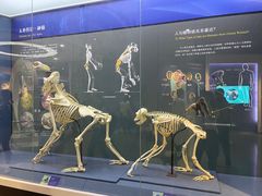 -国家自然博物馆