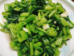 -小小饭店·休闲农庄·安吉松树林里的农家菜