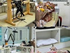 -派美特宠物医院·核磁CT·骨科肿瘤·疑难转诊(沈农禾丰店)