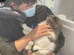 -宠小格时尚宠物生活馆(唐镇店)