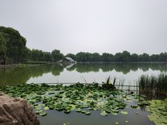 -洛阳市隋唐城遗址植物园