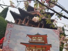 -西安青龙寺遗址景区