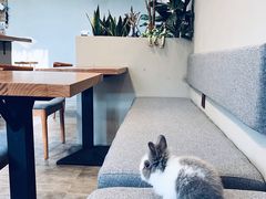 -小意思咖啡店(草桥店)