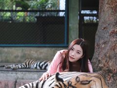 -普吉镇