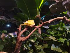 -正佳雨林生态植物园