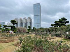 -南宁南湖公园