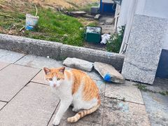 -句容茅山景区