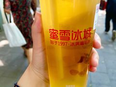 四季春茶-蜜雪冰城(梅花园佳润广场店)